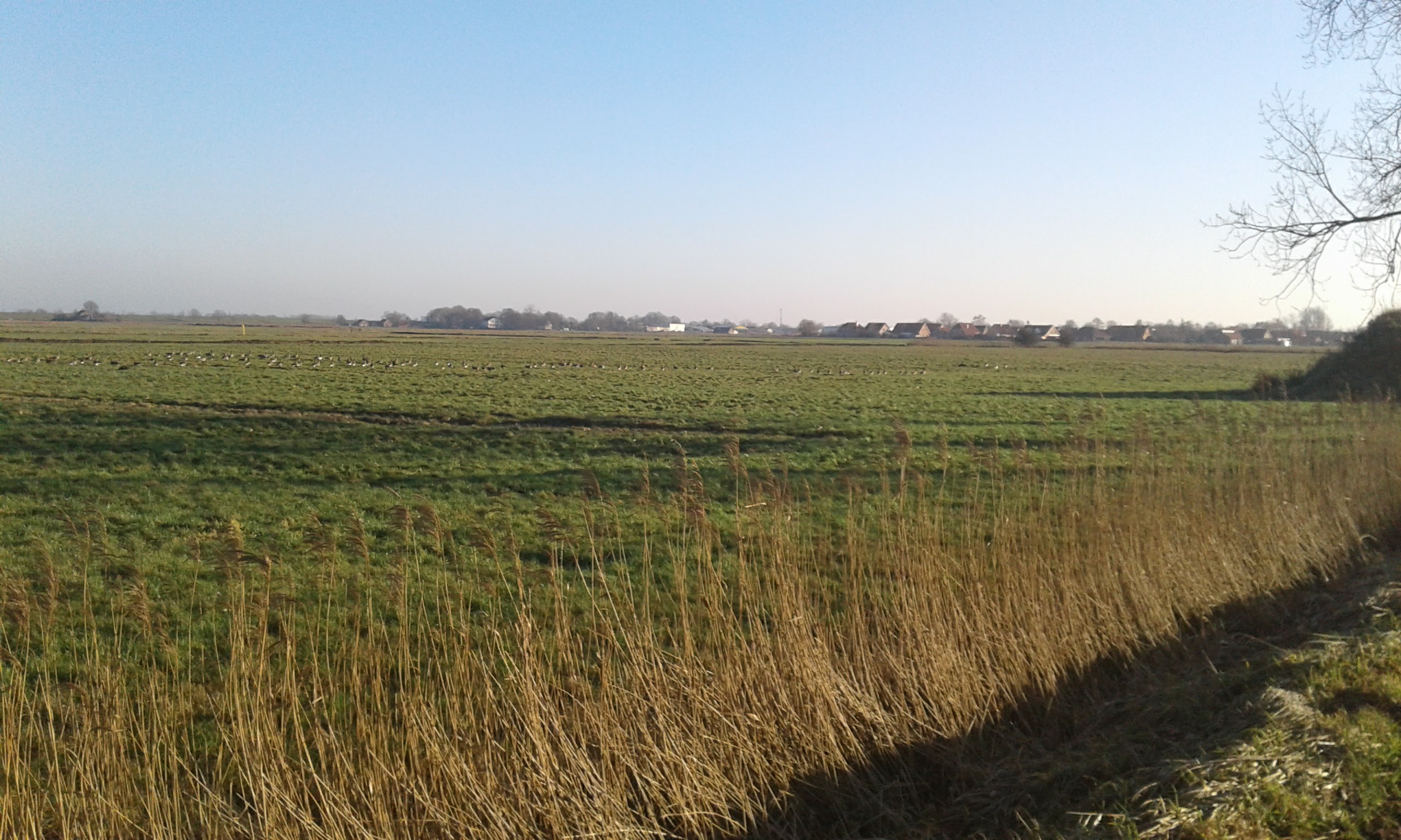Landleben