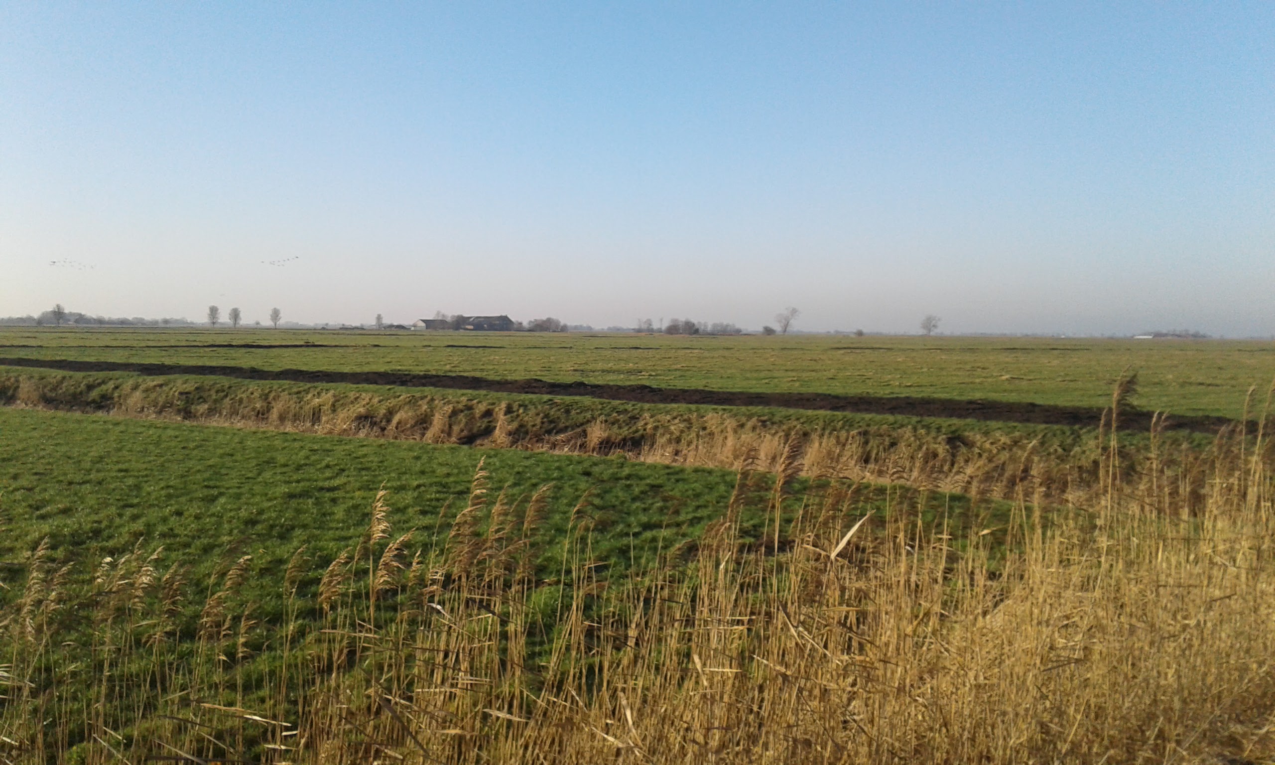 Landleben