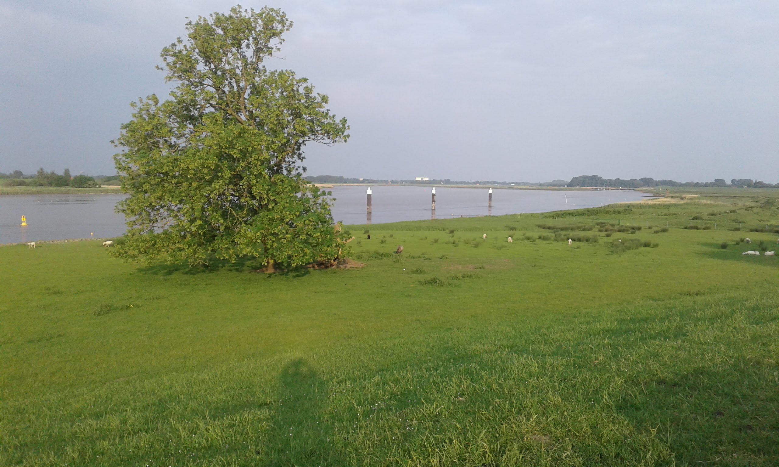 Sommer am Deich