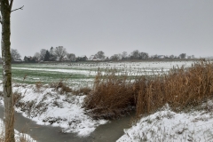 Auf dem Feld